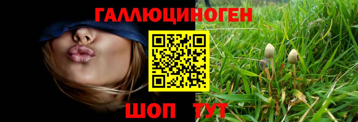 Кандалакша  Псилоцибиновые грибы Magic Shrooms  Вход с VPN  хочу   Псилоцибиновые грибы Psilocybine cubensis 